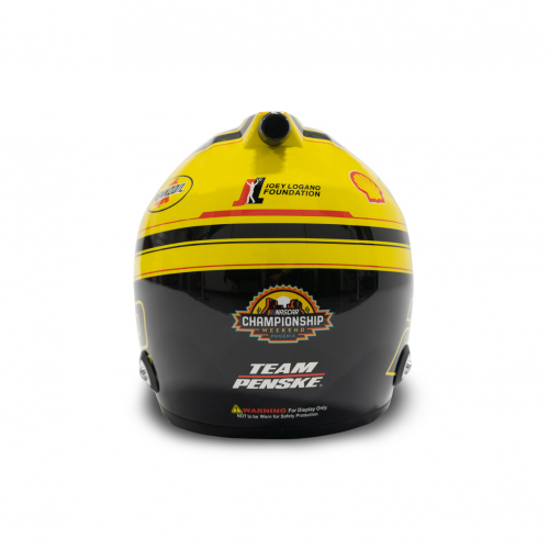 JL-2022--Mini-Champ-Helmet_Back